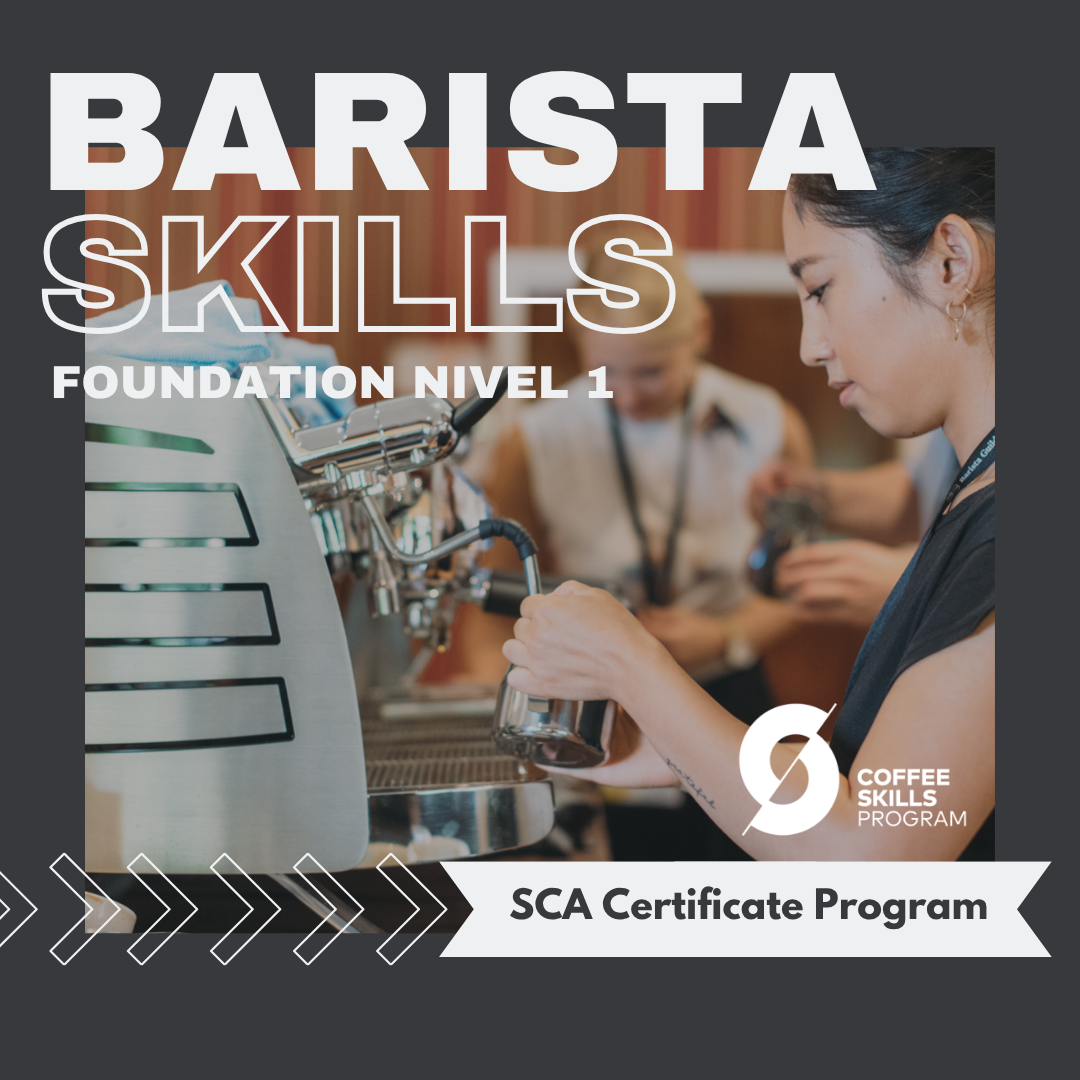 Curso de Barista Profesional SCA certificado