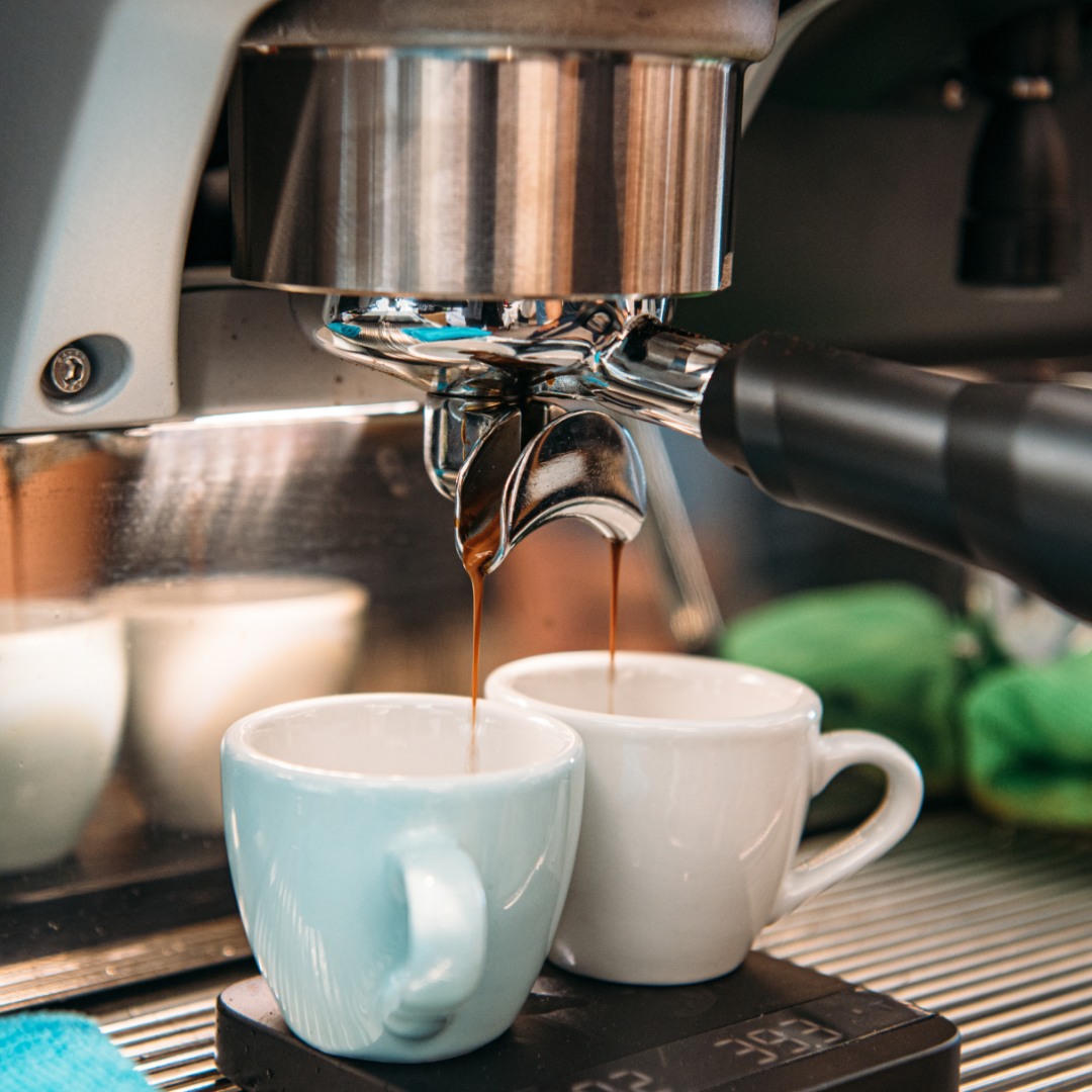 Curso de Barista Profesional SCA certificado 6