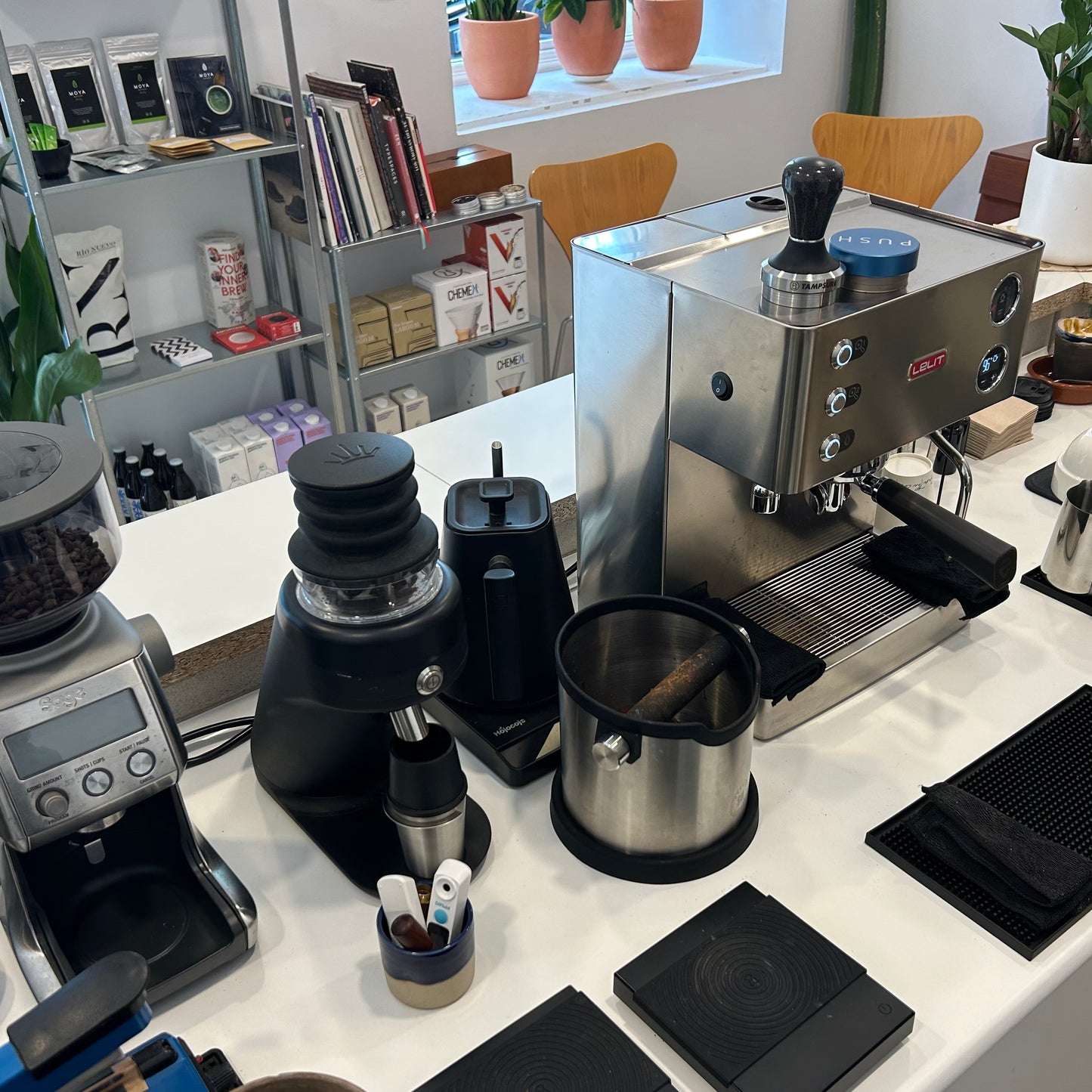 SCA Foundation Barista