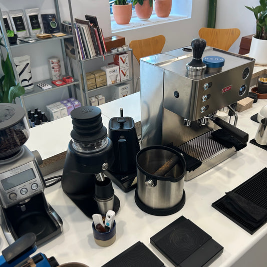 SCA Foundation Barista