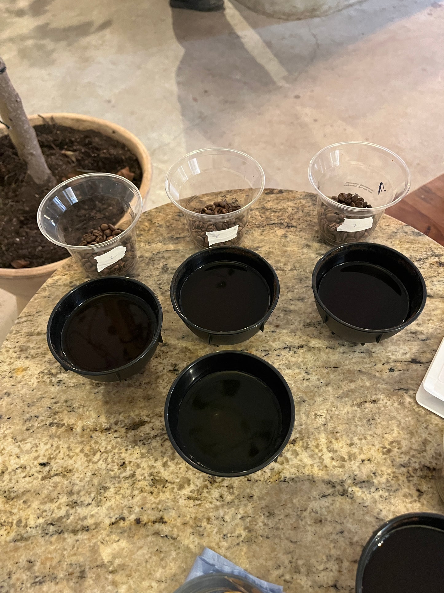 Degustación de café gratis - semanal