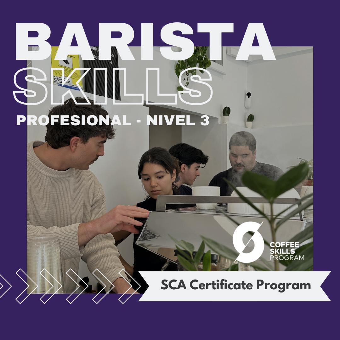 SCA Foundation Barista Skills - Nivel 3