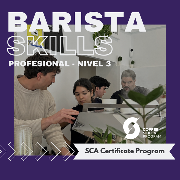 SCA Foundation Barista Skills - Nivel 3