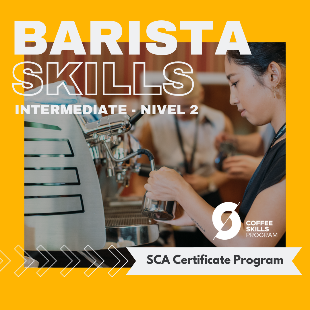 SCA Foundation Barista Skills - Nivel 2